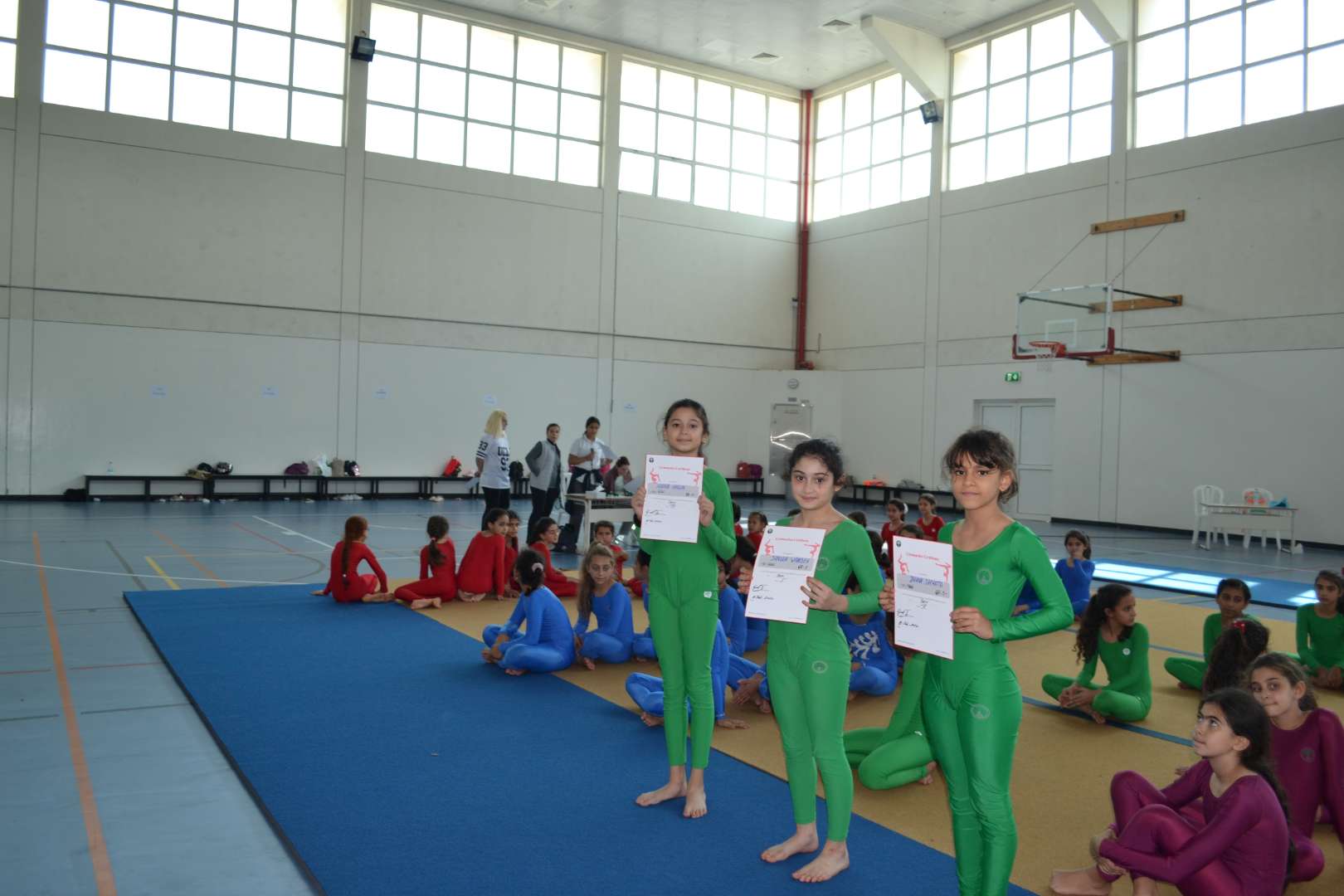Gymnastics Update